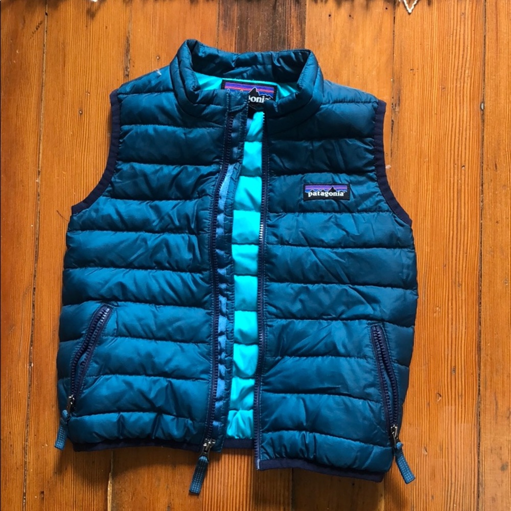 Patagonia down sweater vest 2t